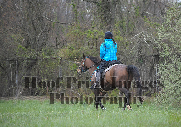 Foxcatcher(4-9-16)0540