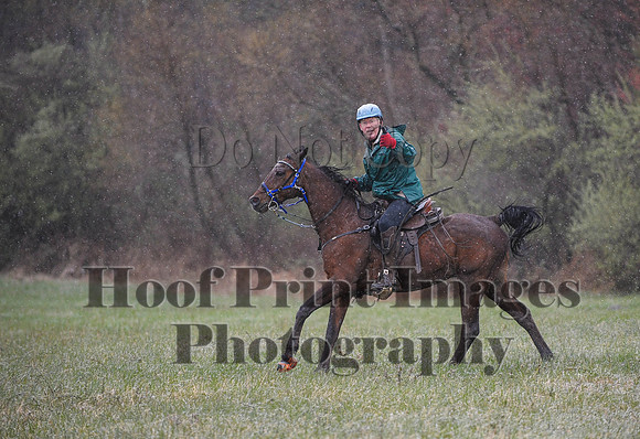 Foxcatcher(4-9-16)0909