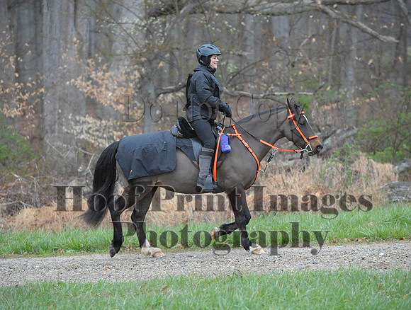 Foxcatcher(4-9-16)0281