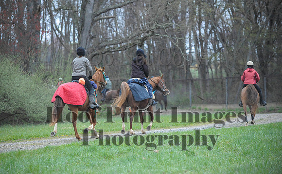 Foxcatcher(4-9-16)0244