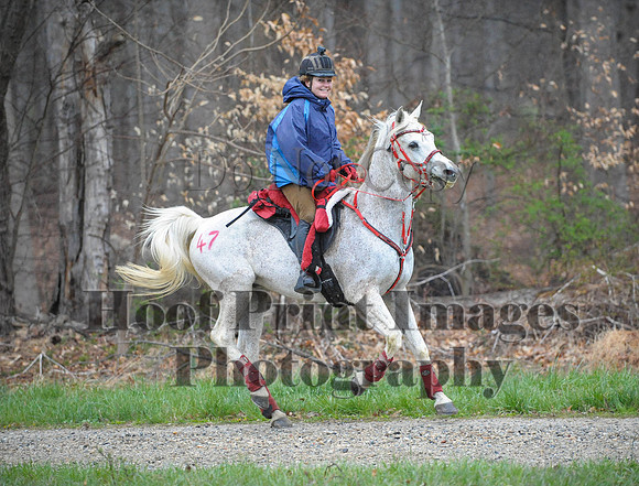 Foxcatcher(4-9-16)0151