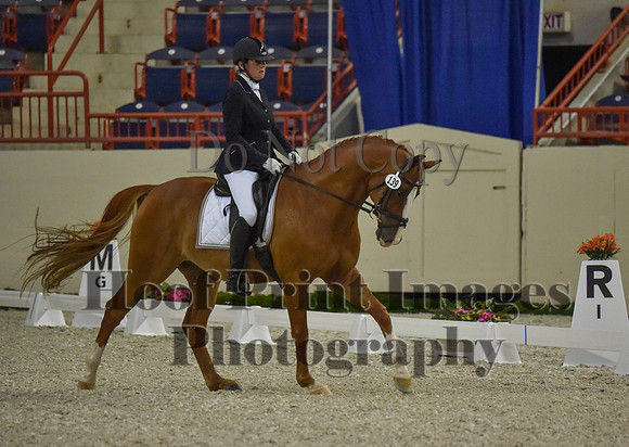 CWdressageI(8-20-16)0513