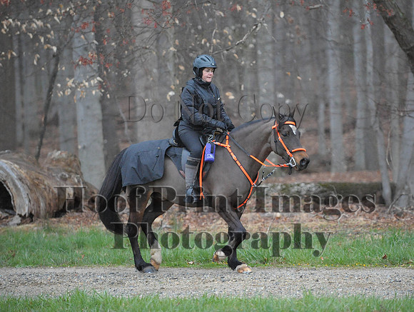Foxcatcher(4-9-16)0277