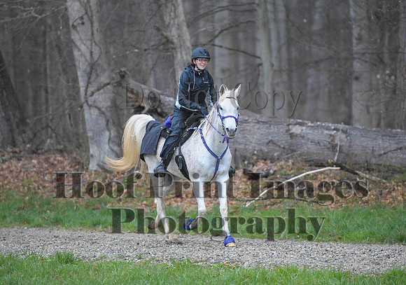 Foxcatcher(4-9-16)0051