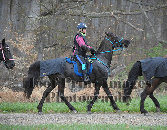Foxcatcher(4-9-16)0373
