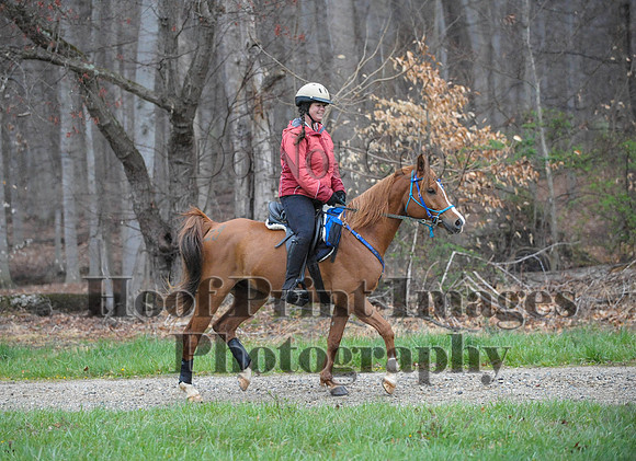 Foxcatcher(4-9-16)0226