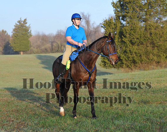 Foxcatcher(4-12-14)0291