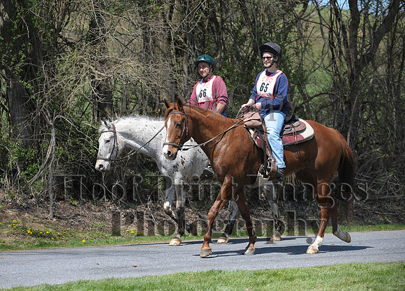 CheshirePC(4-16-16)0441