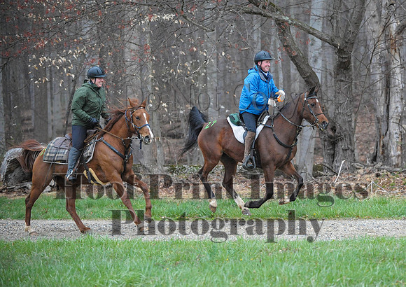 Foxcatcher(4-9-16)0302