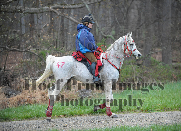 Foxcatcher(4-9-16)0155