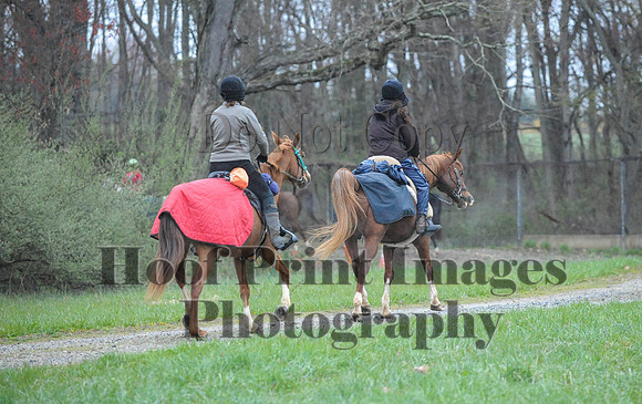 Foxcatcher(4-9-16)0245