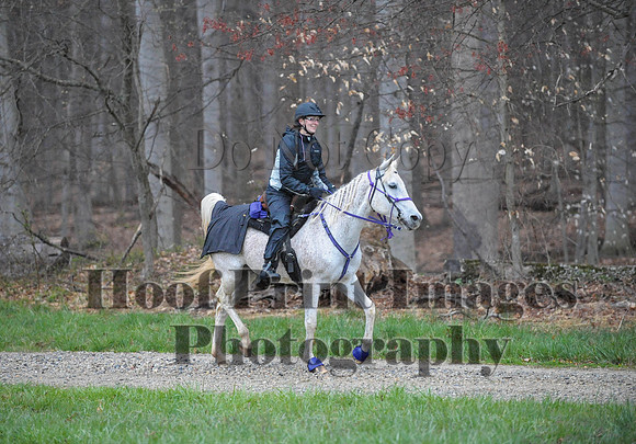 Foxcatcher(4-9-16)0056