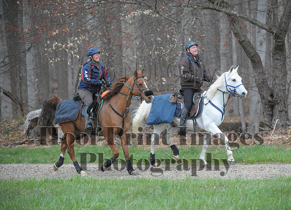 Foxcatcher(4-9-16)0163