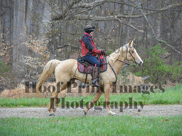 Foxcatcher(4-9-16)0292