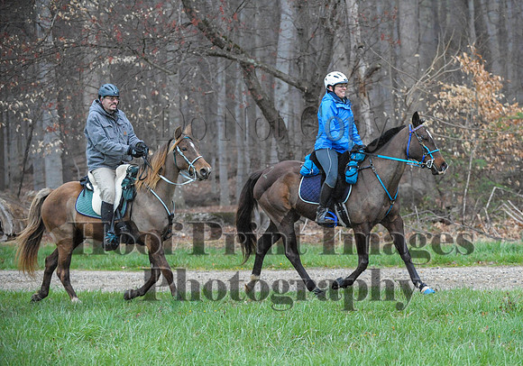 Foxcatcher(4-9-16)0314