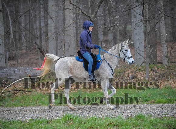 Foxcatcher(4-9-16)0461