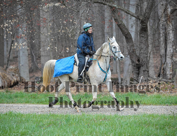 Foxcatcher(4-9-16)0184