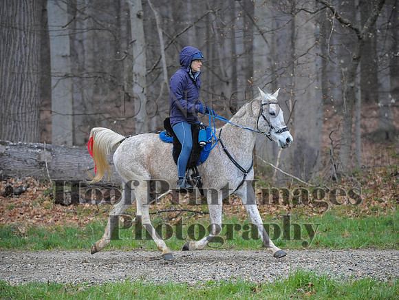 Foxcatcher(4-9-16)0460
