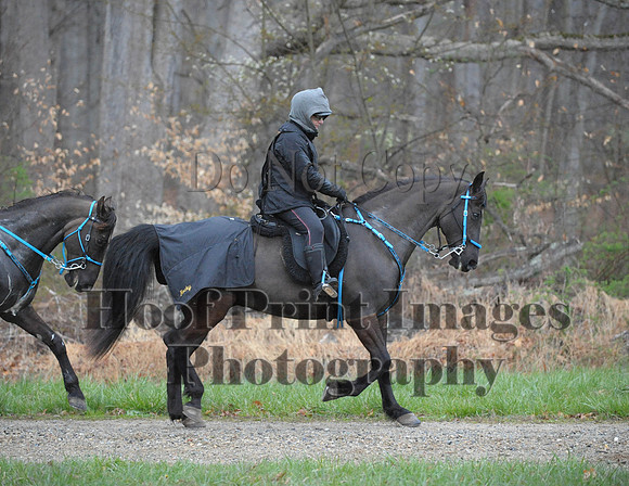 Foxcatcher(4-9-16)0369