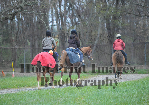 Foxcatcher(4-9-16)0246