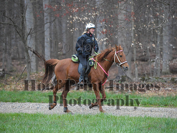 Foxcatcher(4-9-16)0060