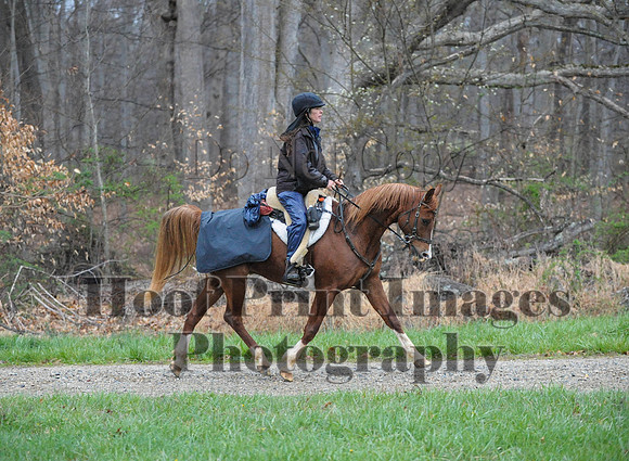 Foxcatcher(4-9-16)0234
