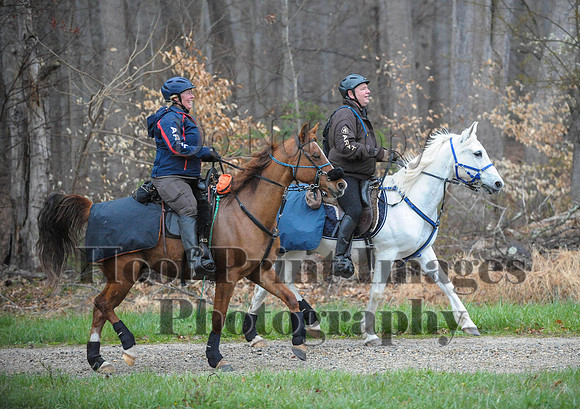 Foxcatcher(4-9-16)0167