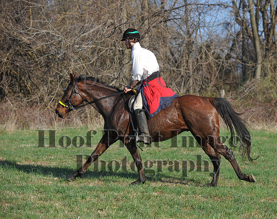Foxcatcher(4-12-14)0579
