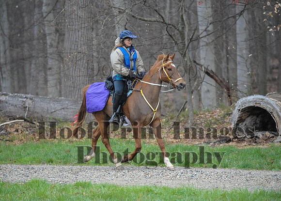 Foxcatcher(4-9-16)0175