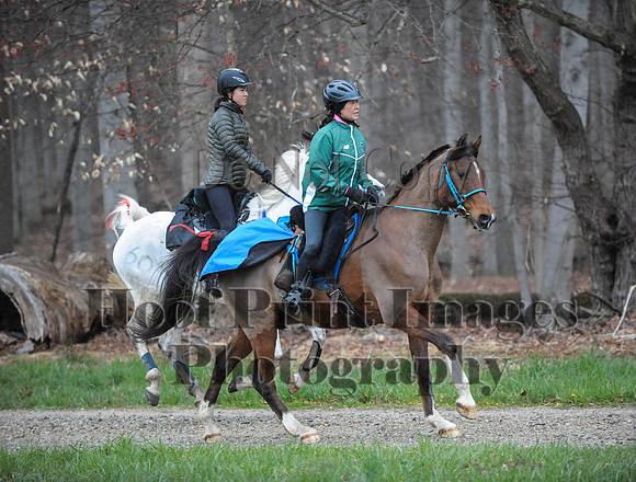 Foxcatcher(4-9-16)0126