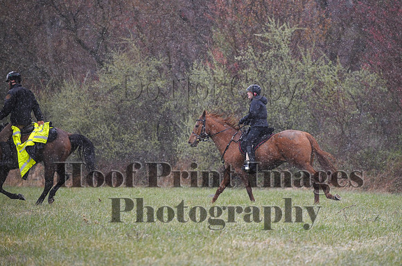 Foxcatcher(4-9-16)0928