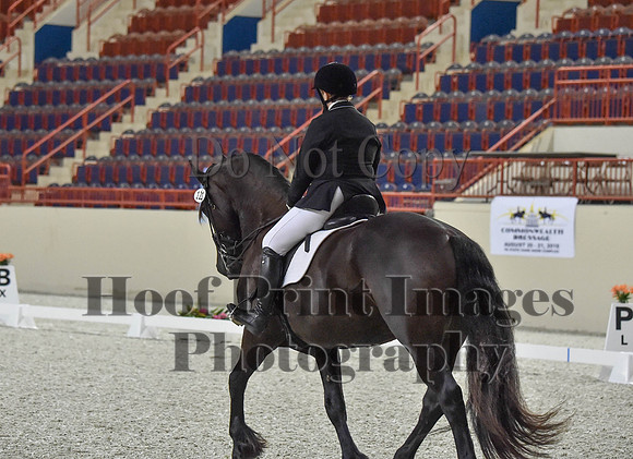 CWdressageI(8-20-16)0903
