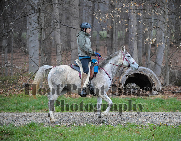 Foxcatcher(4-9-16)0464