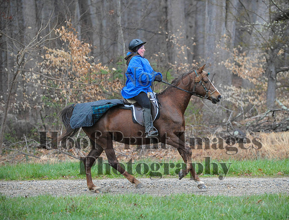 Foxcatcher(4-9-16)0259