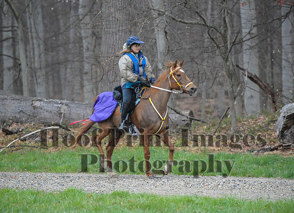 Foxcatcher(4-9-16)0174