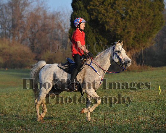 Foxcatcher(4-12-14)0302