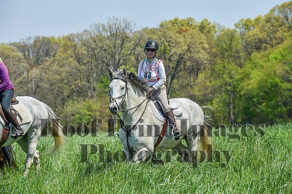 CheshireSpringPC1(4-28-24)0530