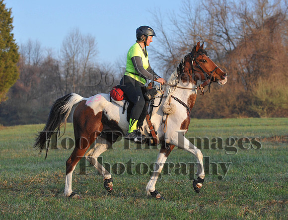 Foxcatcher(4-12-14)0253