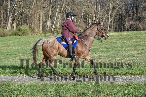 ChesapeakeSpring(4-10-22)0065