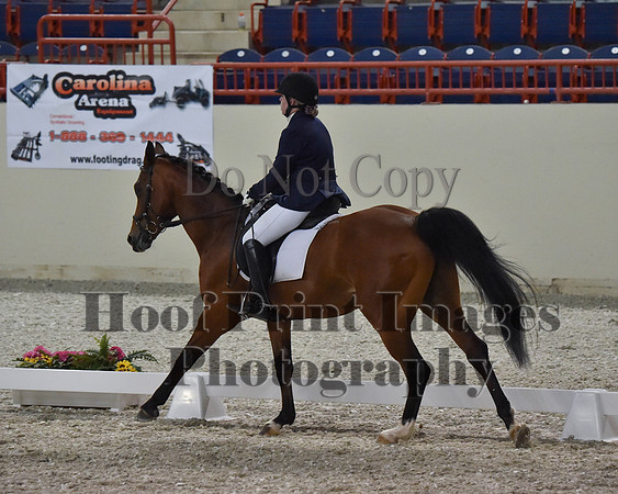 CWdressageII(8-21-16)2116
