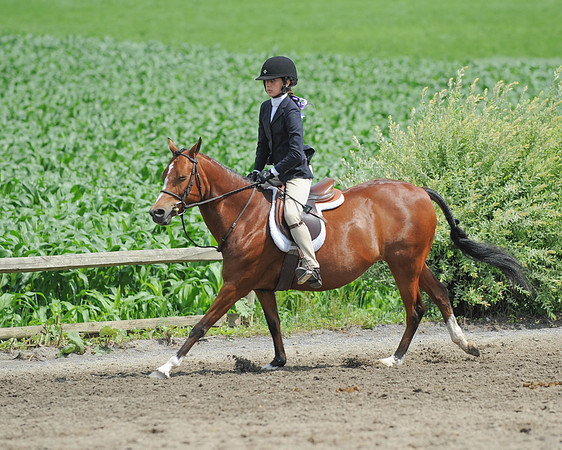 SC(6-28-14)SMPony0062