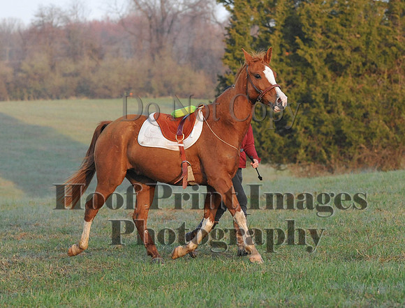 Foxcatcher(4-12-14)0194