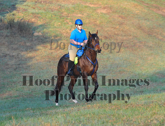 Foxcatcher(4-12-14)0284
