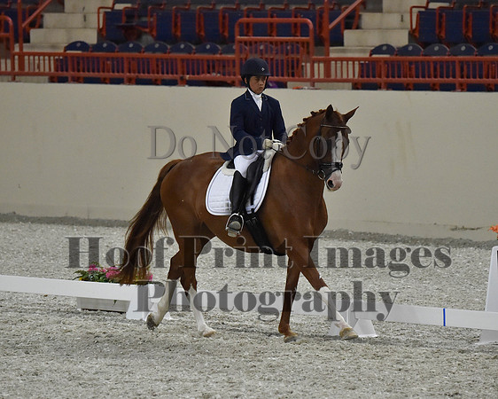 CWdressageII(8-21-16)2027