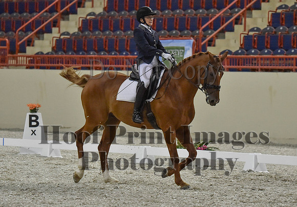 CWdressageI(8-20-16)1245
