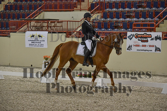 CWdressageI(8-20-16)0501