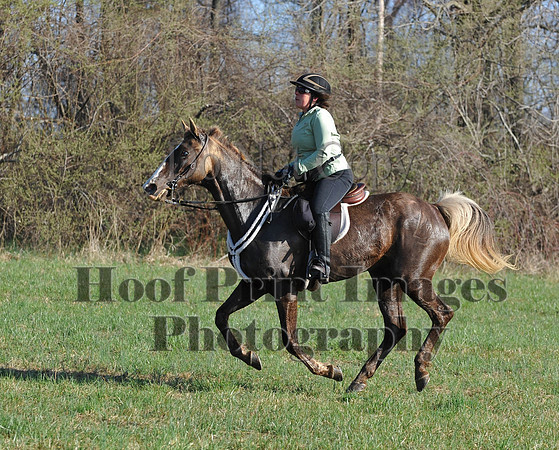 Foxcatcher(4-12-14)0570