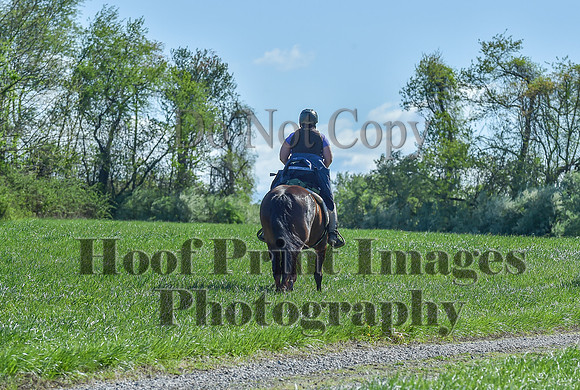 ChesapeakeSpring(4-27-25)0614