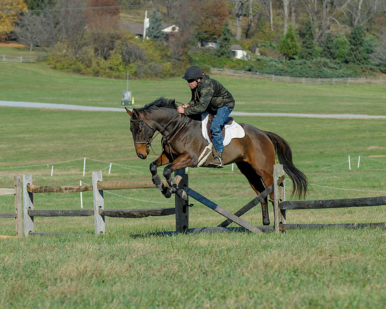 BHPC(11-15-15)0395