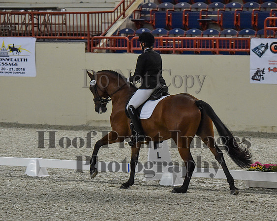CWdressageII(8-21-16)0163